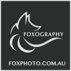 FOX PHOTOGRAPHY